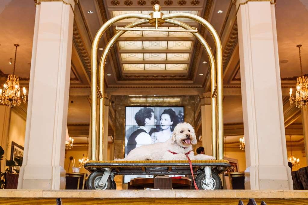 โรงแรมดีลักซ์ อะ โพรเวอแนนซ์ โฮเต็ล พอร์ตแลนด์ ภายใน รูปภาพ